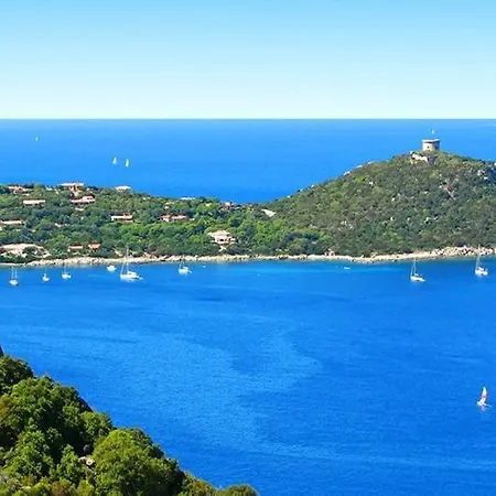 Casonu