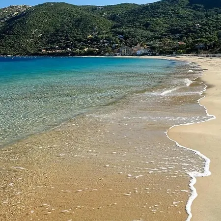 Casonu